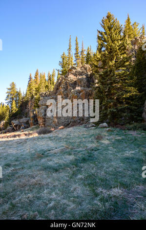 Valles Caldera National Preserve Foto Stock