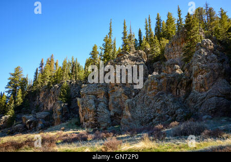 Valles Caldera National Preserve Foto Stock