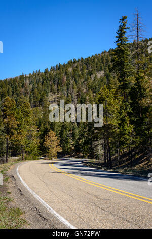 Valles Caldera National Preserve Foto Stock