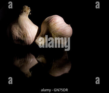 In prossimità dei due elefanti di bulbi di aglio su sfondo nero Foto Stock