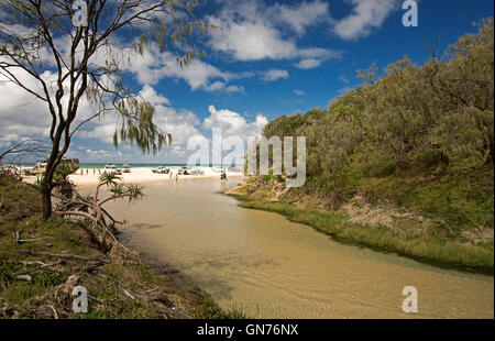 Gruppo di veicoli a trazione integrale e la gente sulla spiaggia di sabbia a fianco di Eli Creek con altri trampolieri in acque poco profonde su Fraser Island Foto Stock