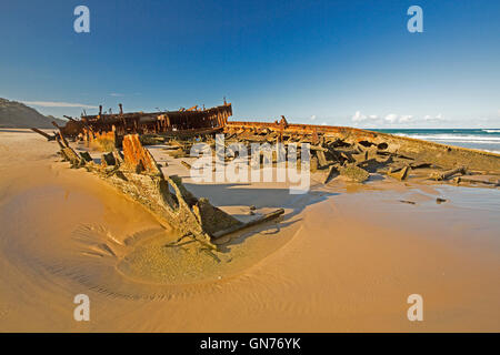 Arrugginimento rimane storico il relitto della nave Maheno sulla sabbia 75 miglia di spiaggia sotto il cielo blu su Fraser Island in Australia Foto Stock