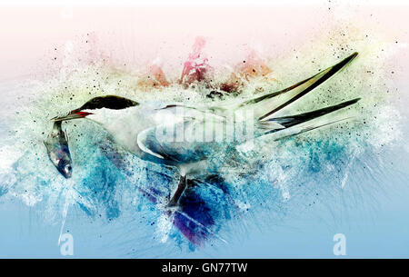 Tern comune (Sterna hirundo) adulto sulla spiaggia con un pesce nel suo conto. Questo uccello si trova nel sub-regioni artiche dell Euro Foto Stock