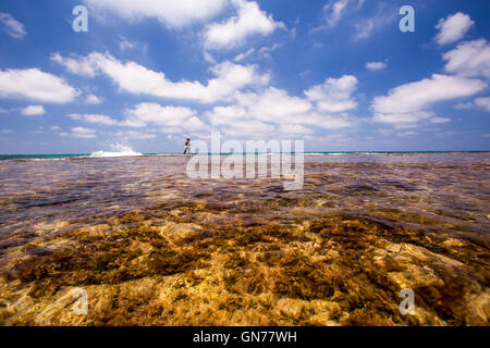 Pescatore solitario con la bassa marea su una spiaggia Foto Stock