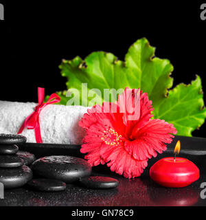 Bellissima spa composizione del rosso dei fiori di ibisco con rugiada, candele, foglie verde e asciugamano arrotolato su pietre zen, primo piano Foto Stock