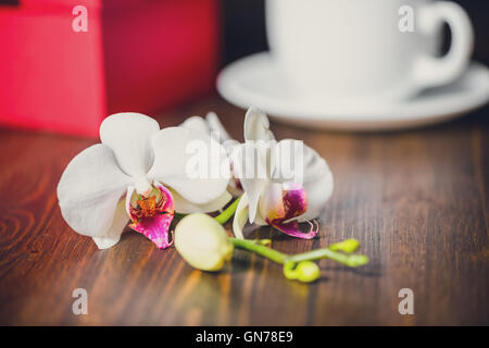 Bellissimo il concetto di festa di saluto casella rossa con fiocco, fiori di orchidea, phalaenopsis e cappuccio di tè su sfondo di legno, vicino u Foto Stock