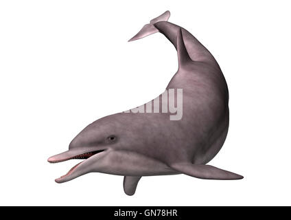 3D rendering di un delfino isolati su sfondo bianco Foto Stock