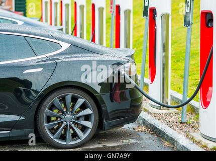 Le automobili elettriche della stazione di ricarica batterie. Moderne tecnologie di trasporto. Foto Stock