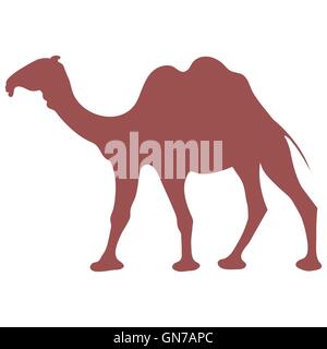 Icona stilizzata di un cammello colorato su sfondo bianco Illustrazione Vettoriale