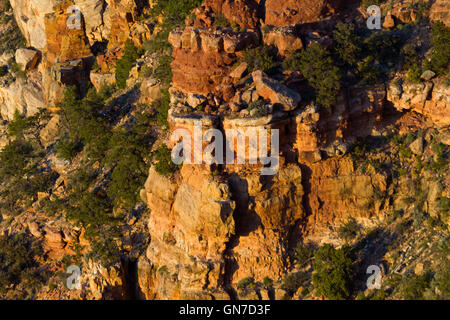 Rock drammatico e colonne vista dal punto Navajo nel Parco Nazionale del Grand Canyon in Arizona, Stati Uniti. Foto Stock