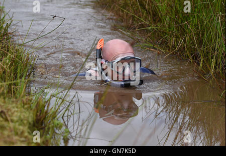 Un concorrente prende parte al trentunesimo mondo Bog Snorkelling campionati a Waen Rhydd torbiera in hotel a Llanwrtyd Wells, Galles. Foto Stock
