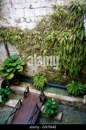 L'interno del rinnovato mulino di fiori al giardino botanico, Molino de Inca, Torremolinos, Andalusia, Spagna. Foto Stock