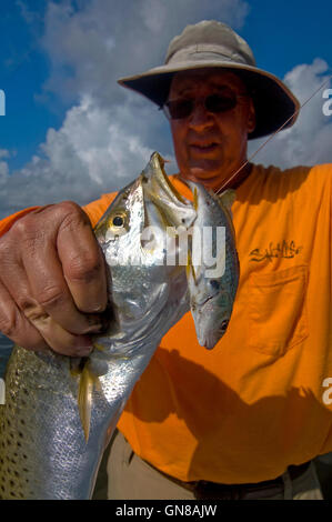 Grande 'Gator' trota vengono spesso catturati in Florida la laguna di zanzara e Indian River vicino a New Smyrna Beach sulla costa est. Foto Stock