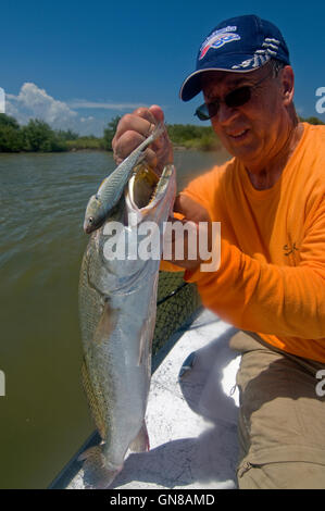 Grande 'Gator' trota vengono spesso catturati in Florida la laguna di zanzara e Indian River vicino a New Smyrna Beach sulla costa est. Foto Stock