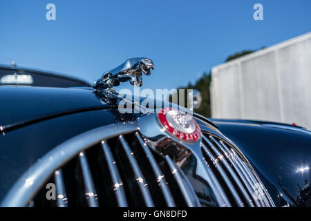 Ornamento del cofano su un vintage Jaguar Foto Stock