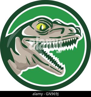 Raptor testa lato cerchio retrò Illustrazione Vettoriale