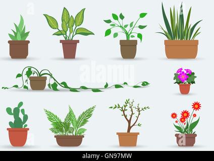 Piante da Appartamento Illustrazione Vettoriale