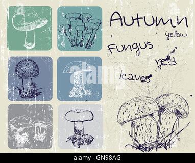 Vintage poster con autunno piante e funghi. Illustrazione Vettoriale