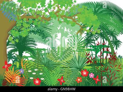 Giungla foresta pluviale Illustrazione Vettoriale