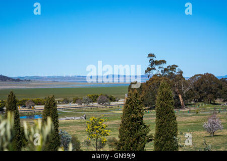 La vista da Lerida Vini del Podere verso il lago George a nord di Canberra Foto Stock