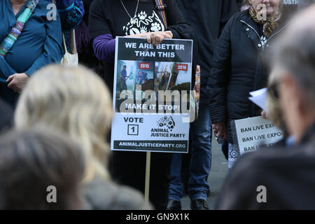 Sydney, Australia. Il 29 agosto, 2016. Liberazione animale del NSW ha tenuto un rally in Martin Place a sostegno delle vittime di vivere l'esportazione. Essa era parte di un evento di portata mondiale che segna il ventesimo anniversario della massa annegamento di pecora a bordo di una nave fulminea dall Australia al Medio Oriente. Credito: Richard Milnes/Alamy Live News Foto Stock