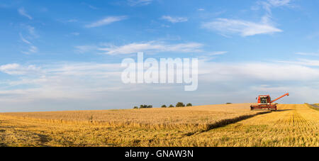 Ramlose, Danimarca - 24 agosto 2016: vista panoramica di una mietitrebbia al lavoro Foto Stock