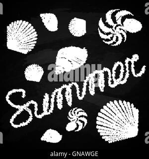 Serie di figure marine sulla lavagna. Parola estate Illustrazione Vettoriale