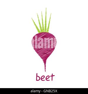 Radice di barbabietola, sketch vettore di design Illustrazione Vettoriale