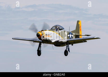 Titan T-51 Mustang G-CY 'l'Millie P' G-TSIM in volo a Breighton Airfield Foto Stock