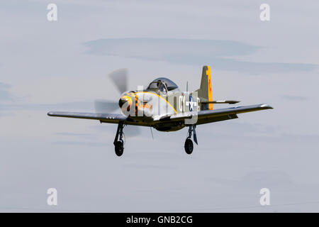 Titan T-51 Mustang G-CY 'l'Millie P' G-TSIM in volo a Breighton Airfield Foto Stock