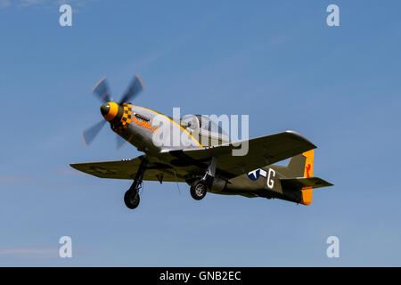 Titan T-51 Mustang G-CY 'l'Millie P' G-TSIM in volo a Breighton Airfield Foto Stock