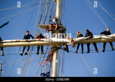 Equipaggio aloft sul polacco, STS Fryderyk Chopin Foto Stock