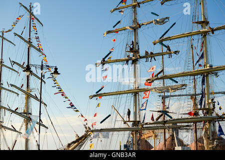 Equipaggio aloft su STS Fryderyk Chopin con il Dar Mlodziezy in Blyth, Northumberland, Regno Unito. Foto Stock