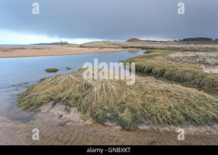 Il castello di Dunstanburgh attraverso Embleton Bay sulla costa nord est di Northumberland, England, Regno Unito Foto Stock