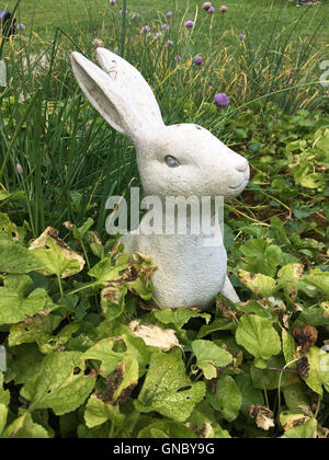 Si tratta di una foto di un coniglio bianco in un giardino Foto Stock