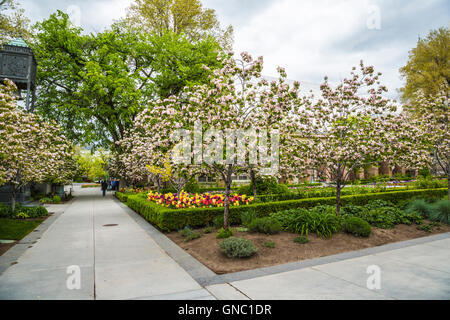 Il giardino e il parco del tempio mormone in Salt Lake City Utah Foto Stock