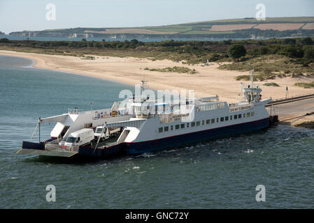 Le barene a Studland veicolare in attesa del traghetto per attraversare l'ingresso al porto di Poole Inghilterra REGNO UNITO Foto Stock