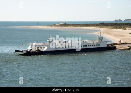 Le barene a Studland veicolare in attesa del traghetto per attraversare l'ingresso al porto di Poole Inghilterra REGNO UNITO Foto Stock