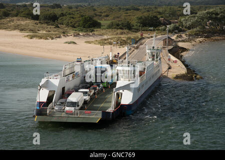 Le barene a Studland veicolare in attesa del traghetto per attraversare l'ingresso al porto di Poole Inghilterra REGNO UNITO Foto Stock