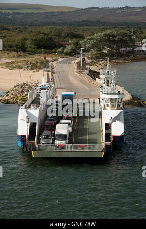 Le barene a Studland veicolare in attesa del traghetto per attraversare l'ingresso al porto di Poole Inghilterra REGNO UNITO Foto Stock