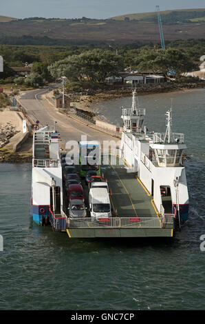 Le barene a Studland veicolare in attesa del traghetto per attraversare l'ingresso al porto di Poole Inghilterra REGNO UNITO Foto Stock