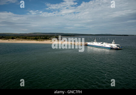 Le barene a Studland veicolare in attesa del traghetto per attraversare l'ingresso al porto di Poole Inghilterra REGNO UNITO Foto Stock