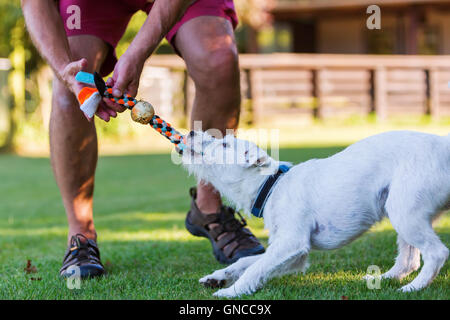 L uomo è in corso di riproduzione con il suo Parson Russell Terrier Foto Stock