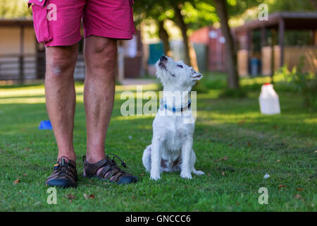 L uomo è la formazione con il suo Parson Russell Terrier Foto Stock