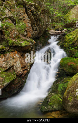 Cascata lungo il ruscello a freddo in Randolph, New Hampshire durante i mesi estivi. Foto Stock