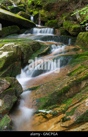Cascata lungo il ruscello a freddo in Randolph, New Hampshire durante i mesi estivi. Foto Stock