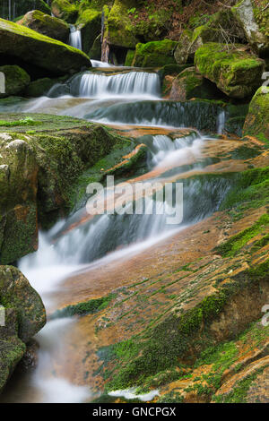 Cascata lungo il ruscello a freddo in Randolph, New Hampshire durante i mesi estivi. Foto Stock
