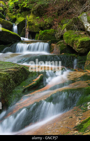 Cascata lungo il ruscello a freddo in Randolph, New Hampshire durante i mesi estivi. Foto Stock