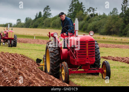 Prince Edward Island, Canada, 27,2016 Aug. Concorrente al Prince Edward Island Match di aratura & Fiera Agricola Foto Stock