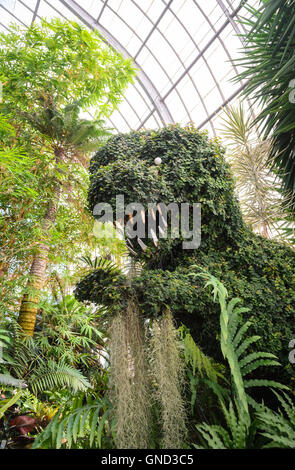 Buffalo and Erie County Botanical Gardens Foto Stock